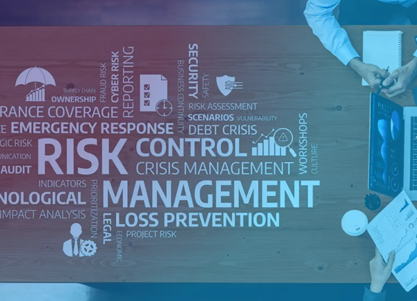 AI Risk Assessment